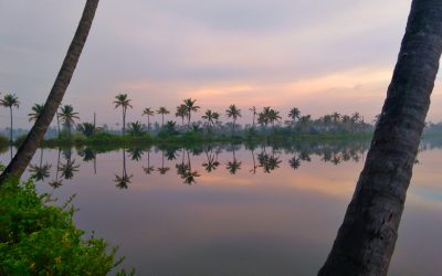early-morning-kerala-water